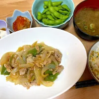 Snapdishの料理写真:お肉の炒め物☺️|かおちゃんさん