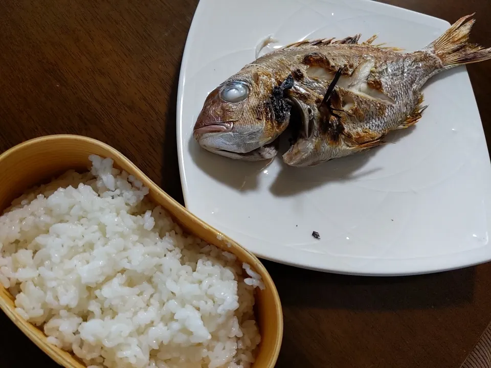 鯛の塩焼き|くぼんぼんさん