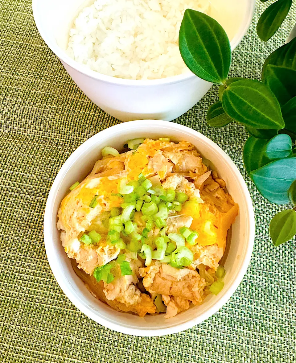 Snapdishの料理写真:親子丼弁当|＊ayabianさん