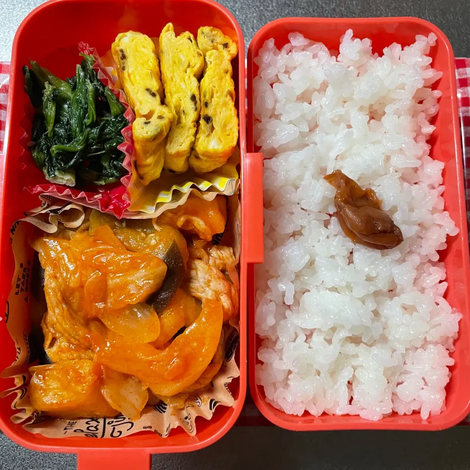 トマト煮込み弁当|あおのりさん