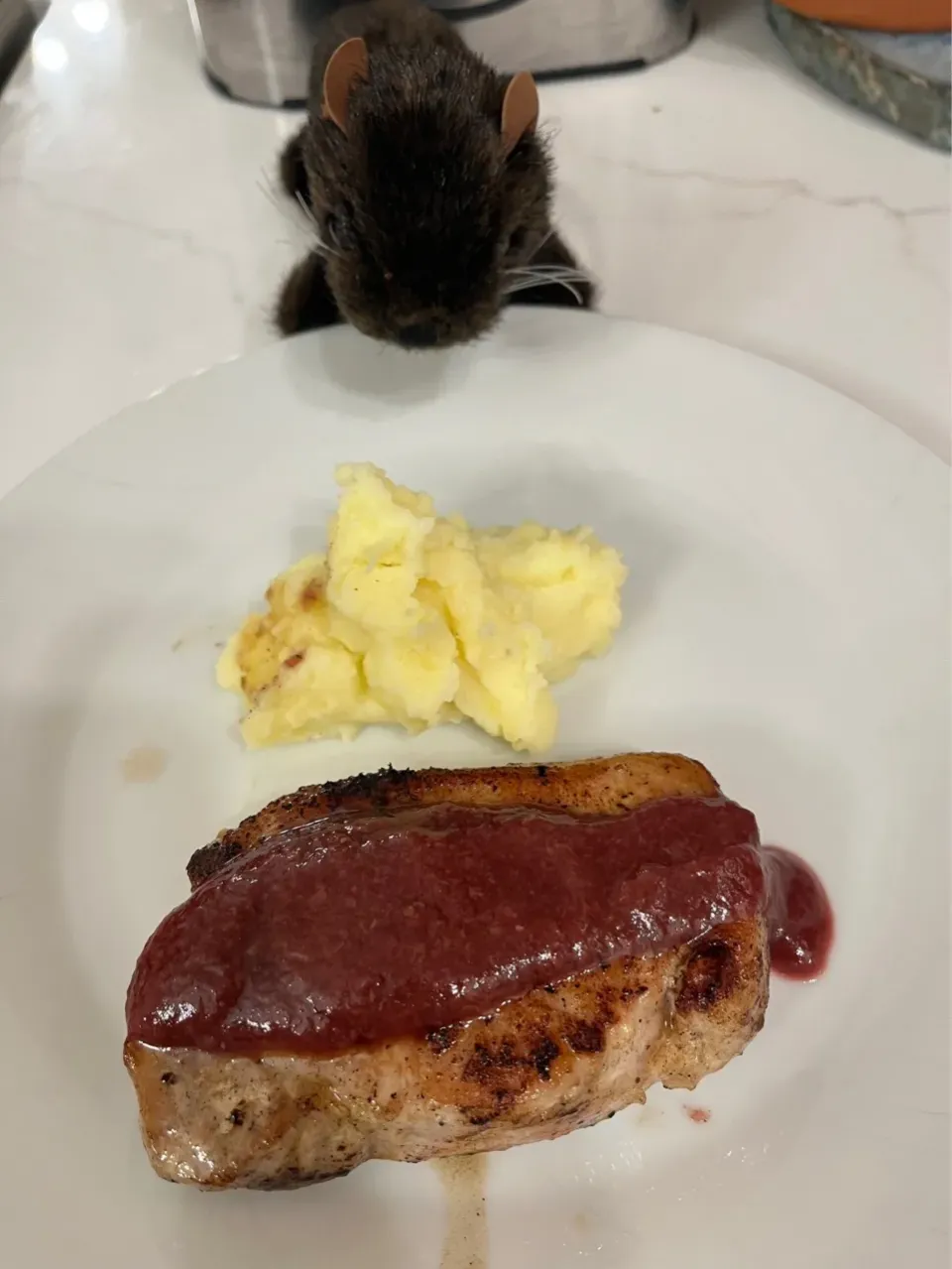 2024/9/23 ポークチョップ、ぶどうのソース Porc Chop with Muscadine Grape Sauce|19 Boys & 野鳥さん