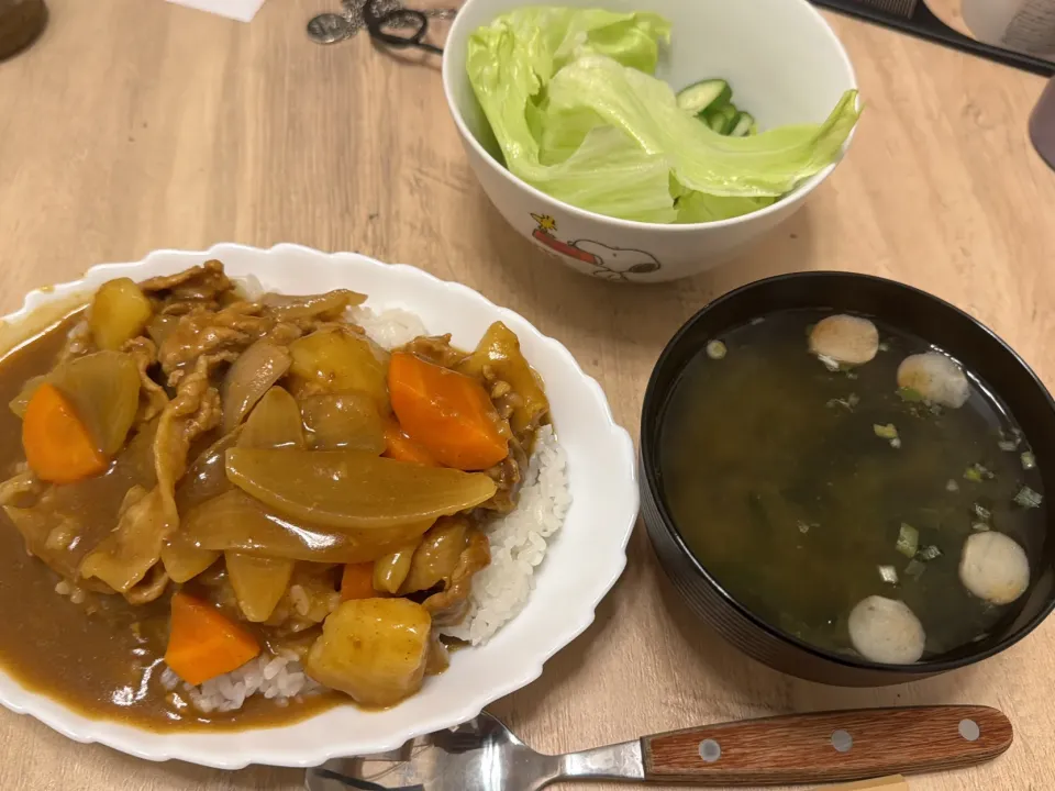 カレー大盛り|いおさん