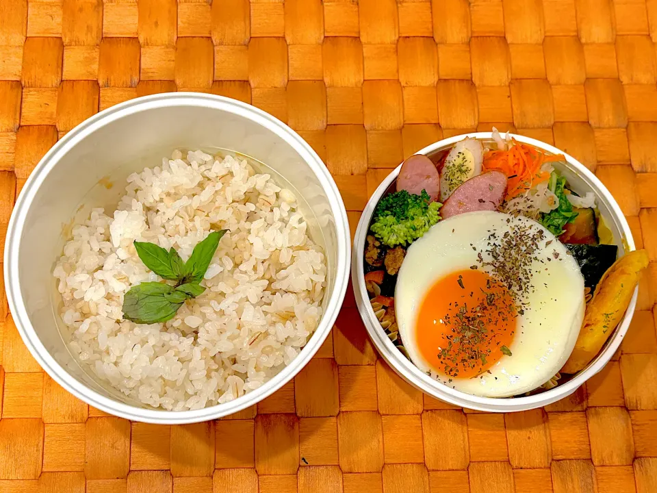 Snapdishの料理写真:中学生息子のお弁当🍱 ガパオライス弁当🍱|Snow10さん