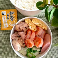 Snapdishの料理写真:鶏塩焼きと塩海老のお弁当|＊ayabianさん