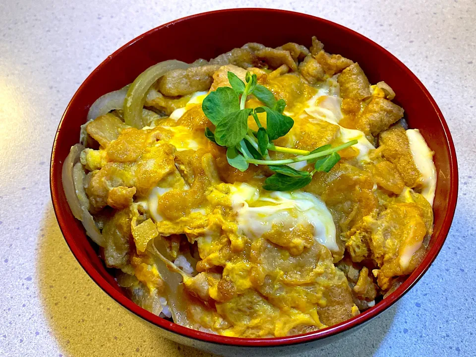 油揚げと天かすで たぬきつね丼|依神姉妹の節約ずぼらレシピちゃんねるさん