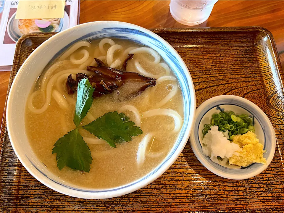 今日のランチは、田舎うどん（半玉）お出汁に山芋のすりおろしが入っていて、すりおろし生姜🫚と大根おろしもトッピングしていただきます😋|yokoさん