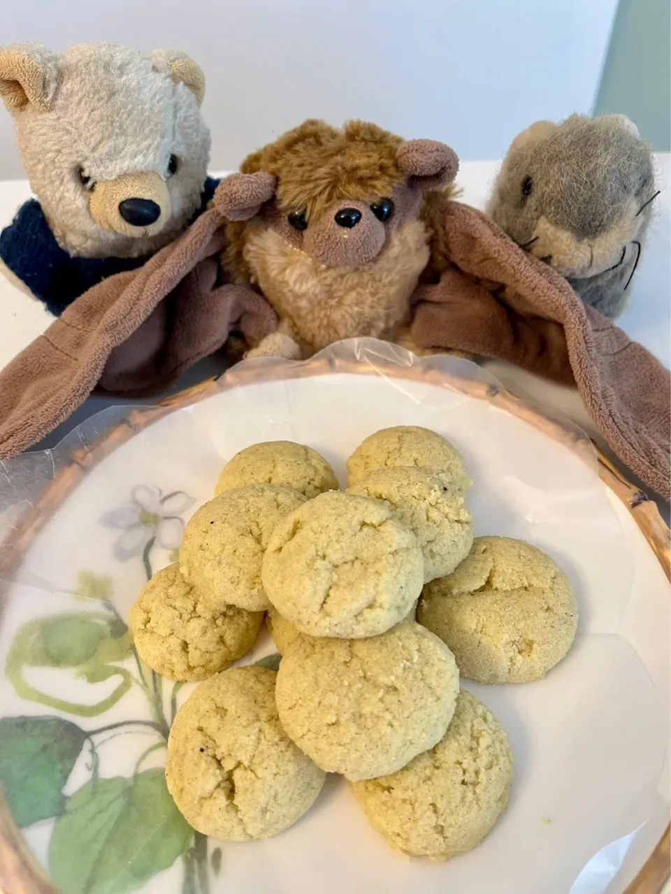 2024/10/5 きつねさんのお誕生日に セモリナ・クッキー Semolina Cookies for Kitsunes Birthday|19 Boys & 野鳥さん