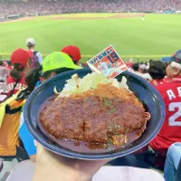 Snapdishの料理写真:のむすけのデミ旨カツ丼