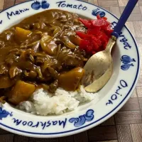 Snapdishの料理写真:朝カレー|kittykittyさん