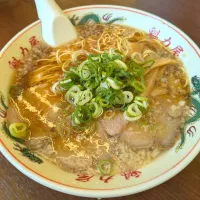 Snapdishの料理写真:特製醤油ラーメン