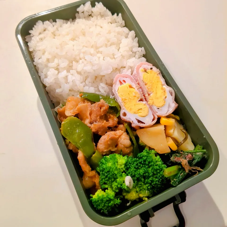 豚肉のコチュジャン炒め弁当🌷|きゅーさん