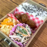 ミートボール弁当|家事専門とねななさん