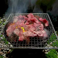 Snapdishの料理写真:お庭で炭火焼き肉🍖❗️⊂((・x・))⊃✨