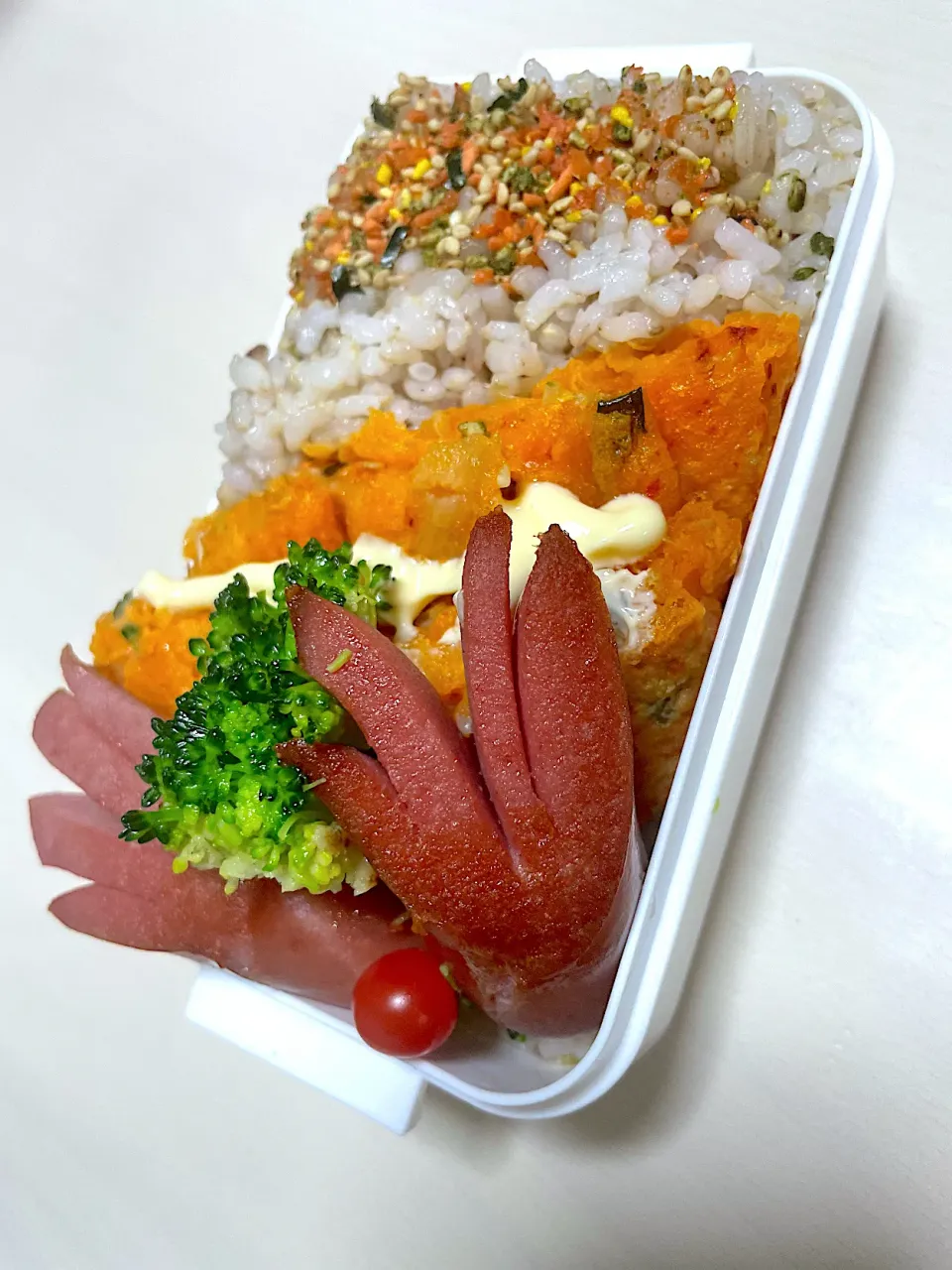 父が作る男子高校生弁当🍱|父が作る弁当さん