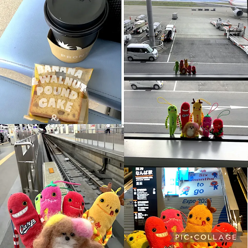 Snapdishの料理写真:✈️|🍁さん