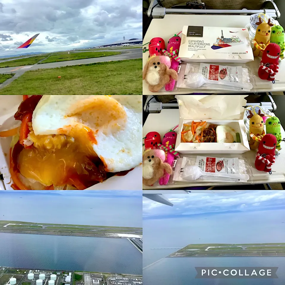 Snapdishの料理写真:✈️🍽️|🍁さん