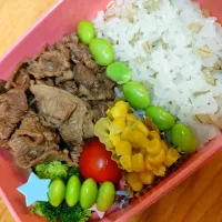 Snapdishの料理写真:プルコギ弁当！|アボカド🥑さん