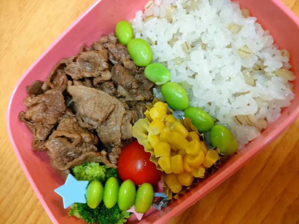 Snapdishの料理写真:プルコギ弁当！|アボカド🥑さん