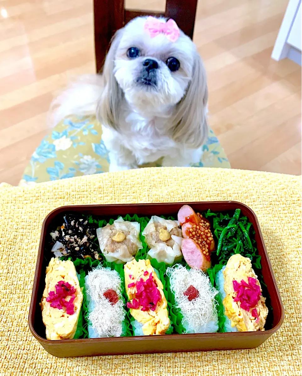 Snapdishの料理写真:10月7日　プクパパお弁当🍱|プクママさん