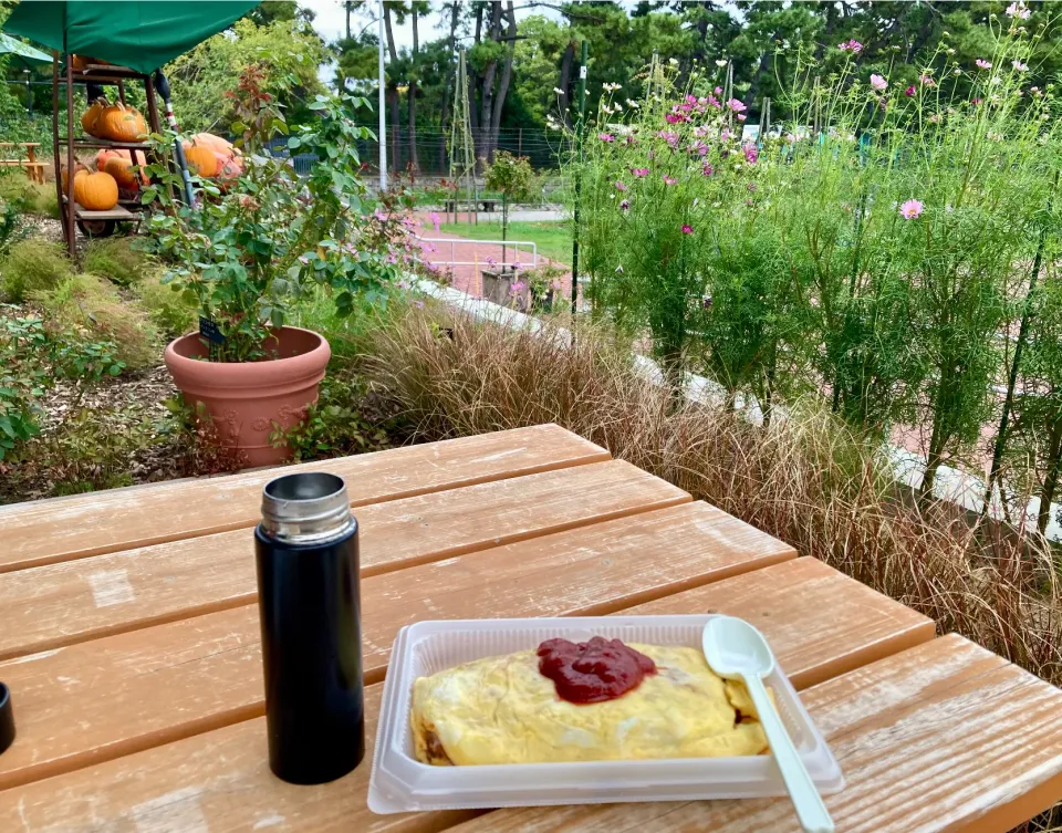 気まぐれ投稿                     公園で             自作「オムライス弁当・水割り」|mottomoさん