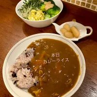 Snapdishの料理写真:🍛カレーライス🍛|きみちさん