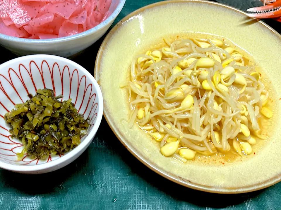 最近毎日食べてる豆モヤシのナムル風サラダ|🐈⸒⸒⸒⸒つるのダンス🐈🐾さん