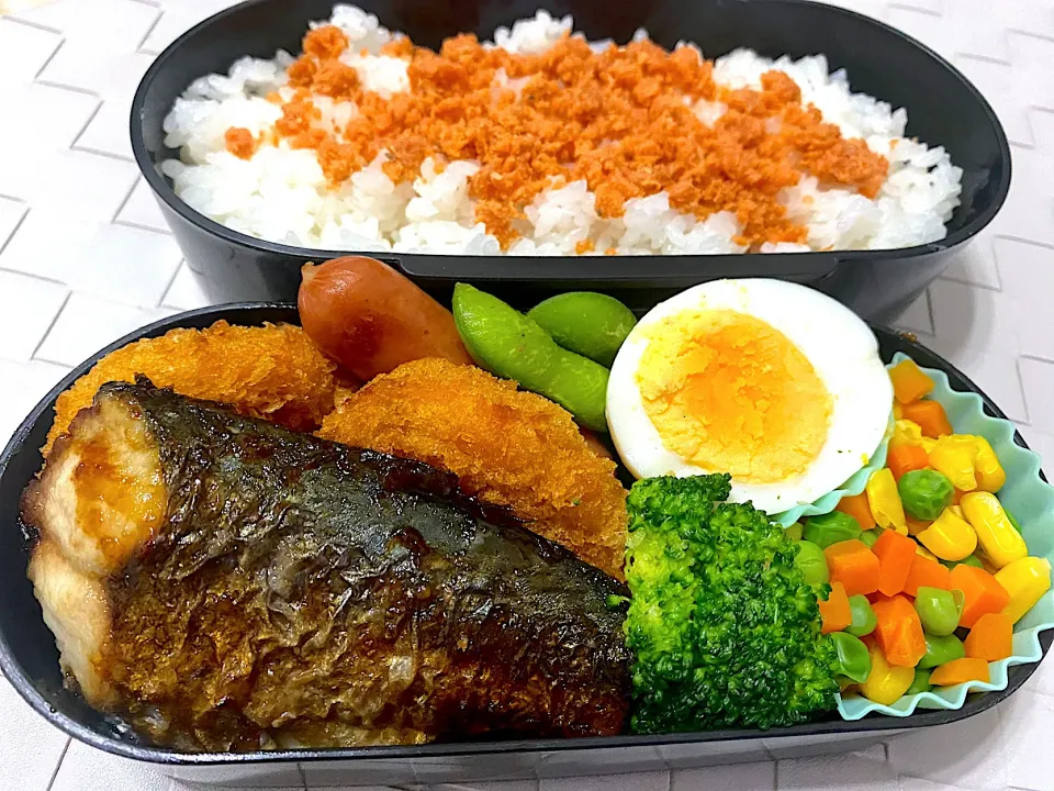 Snapdishの料理写真:単身赴任弁当100🎉|単身赴任のっちさん