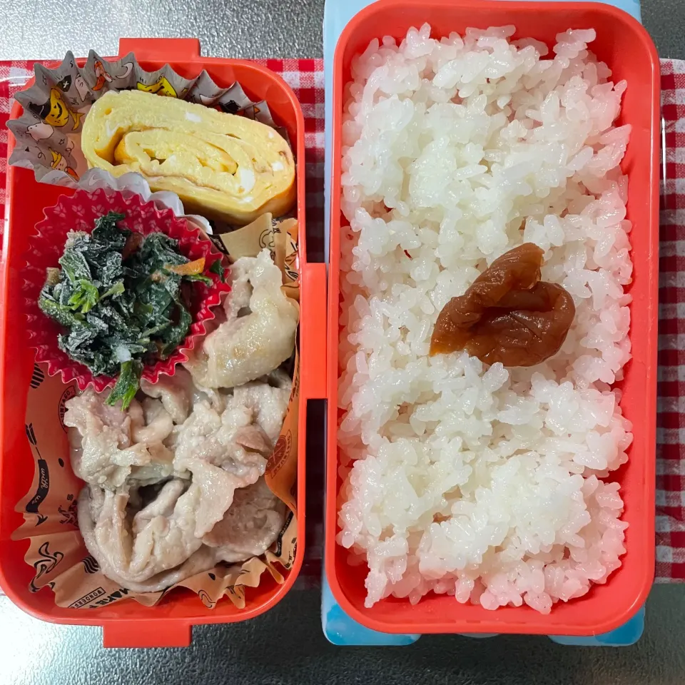 塩麹ロース弁当|あおのりさん