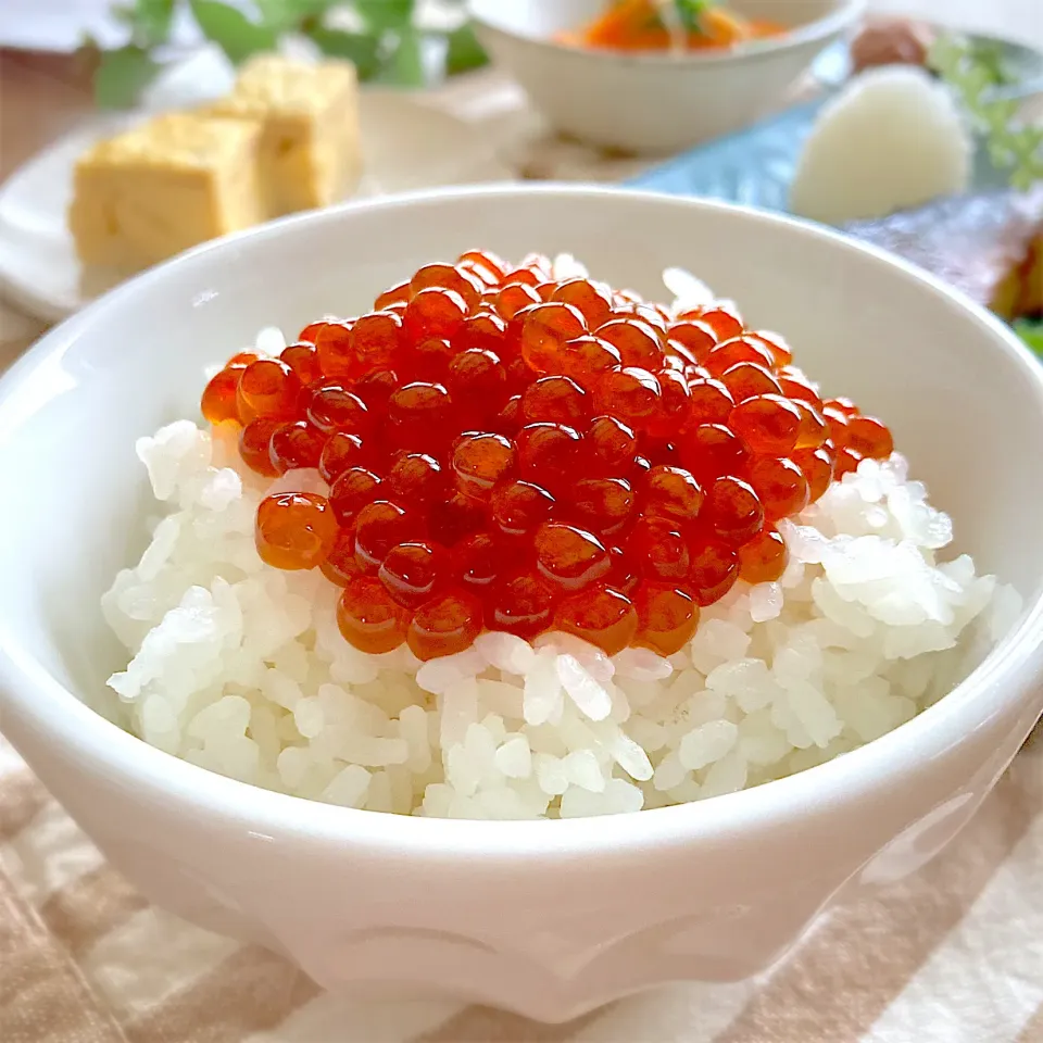 いくらの醤油漬け|みずほさん