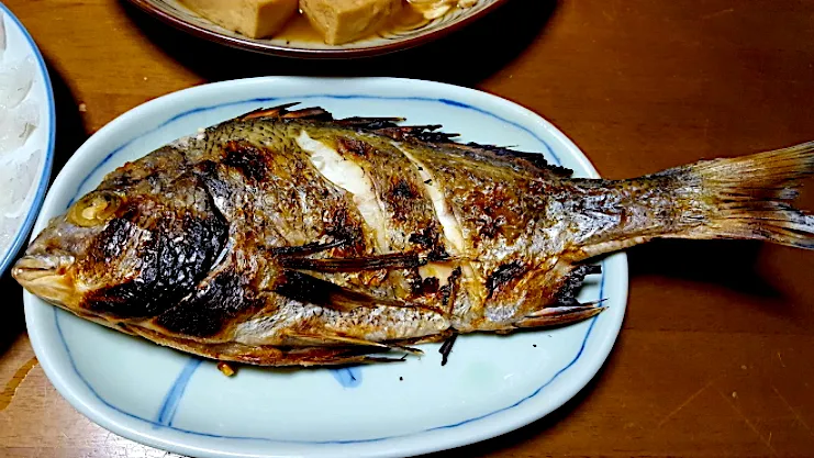 釣りチヌ（黒鯛）活き〆の塩焼き|🐈⸒⸒⸒⸒つるのダンス🐈🐾さん