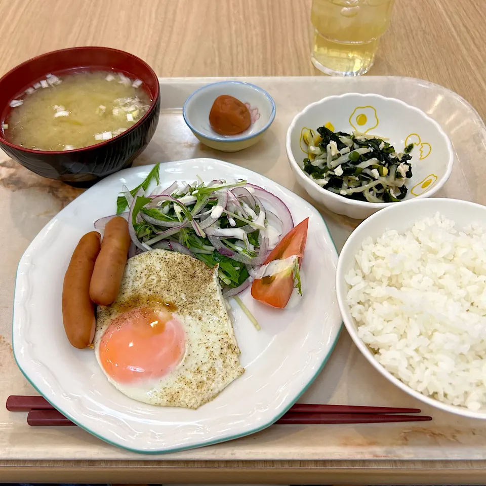 寮の朝食😋目玉焼き🍳|すかラインさん