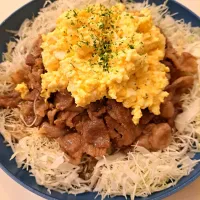 Snapdishの料理写真:豚肉南蛮|nikotan.syさん