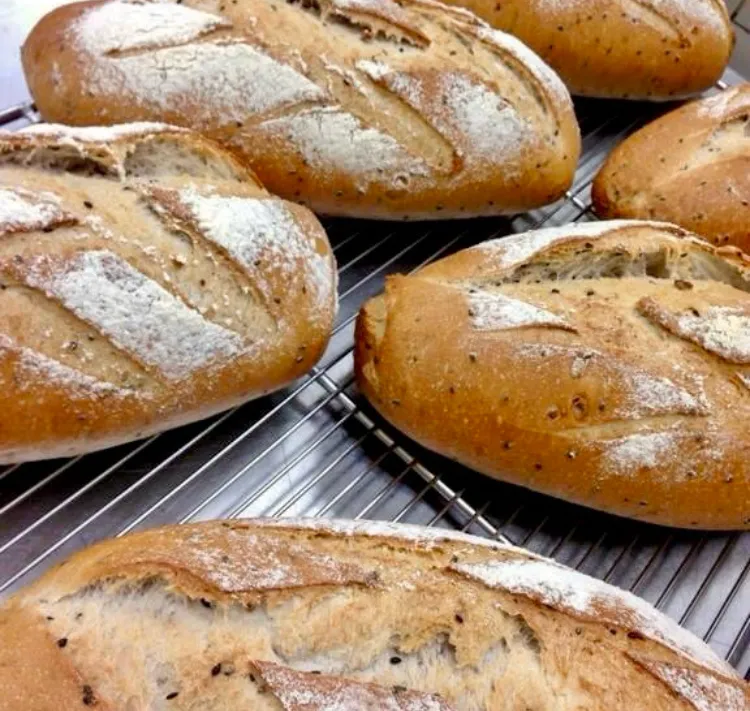 明日のパン💦
「オーツ麦のカンパーニュ 🥖」
残ってた くるみも入れて 焼いてみた|ばくあんしゃさん