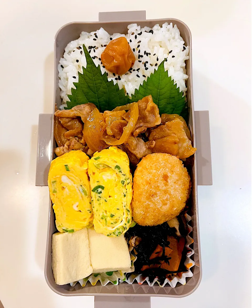 10/11 しょうが焼き弁当|なおちゃんさん