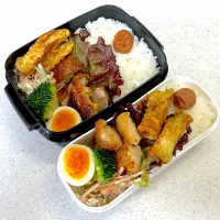 Snapdishの料理写真:2024年10月11日お弁当🍱|もぐぷーさん