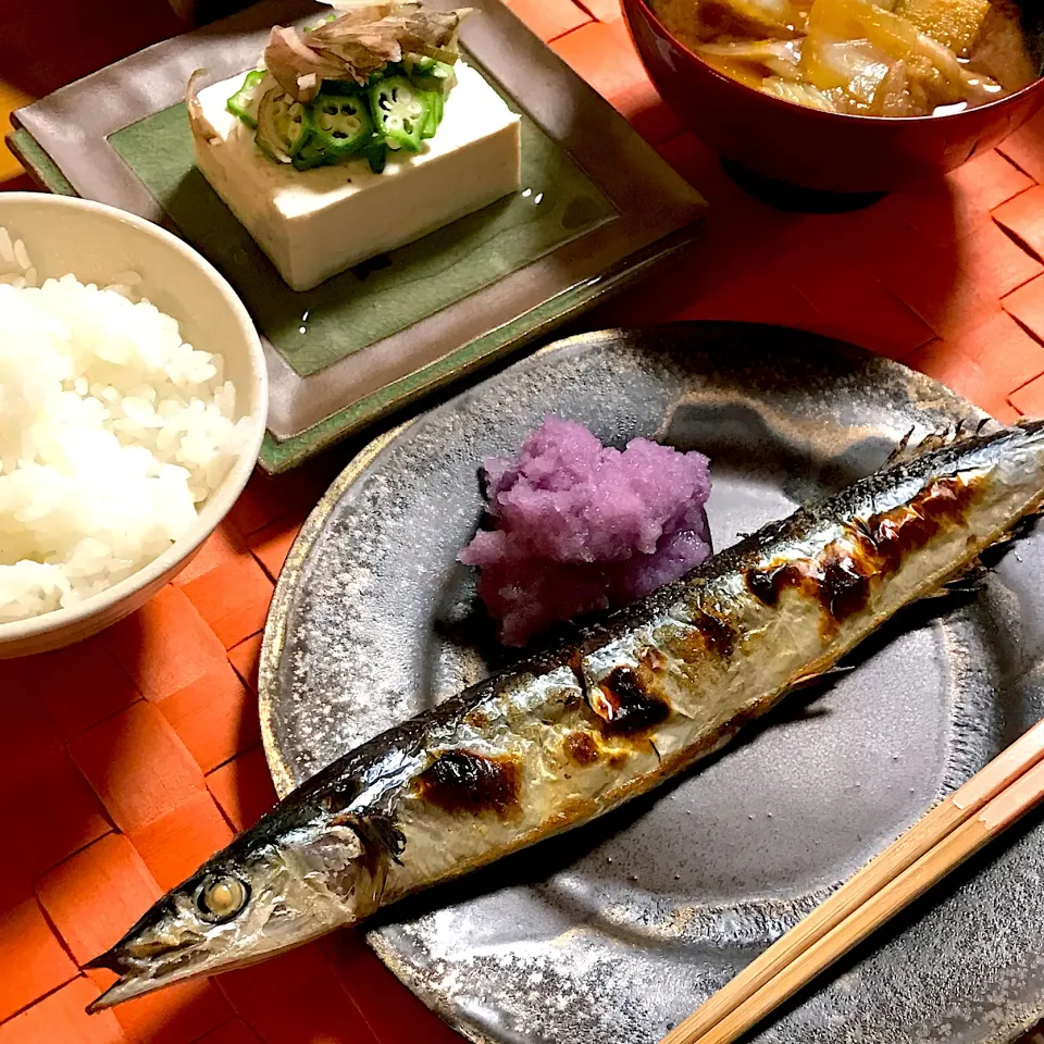 ちょっと大きくなって来た♡秋刀魚|ゼニコさん