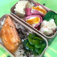 Snapdishの料理写真:自分弁当⭐️