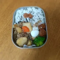 10月10日お弁当|シロクマさん