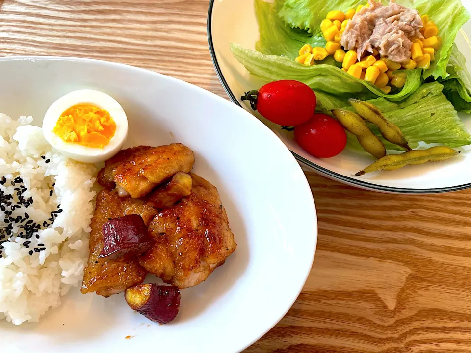 ワンプレートランチ|パパ手料理さん