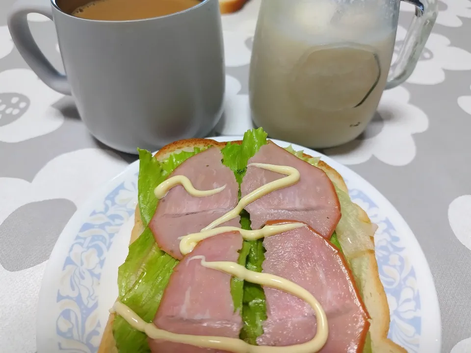 Snapdishの料理写真:家ご飯|Y－Mさん