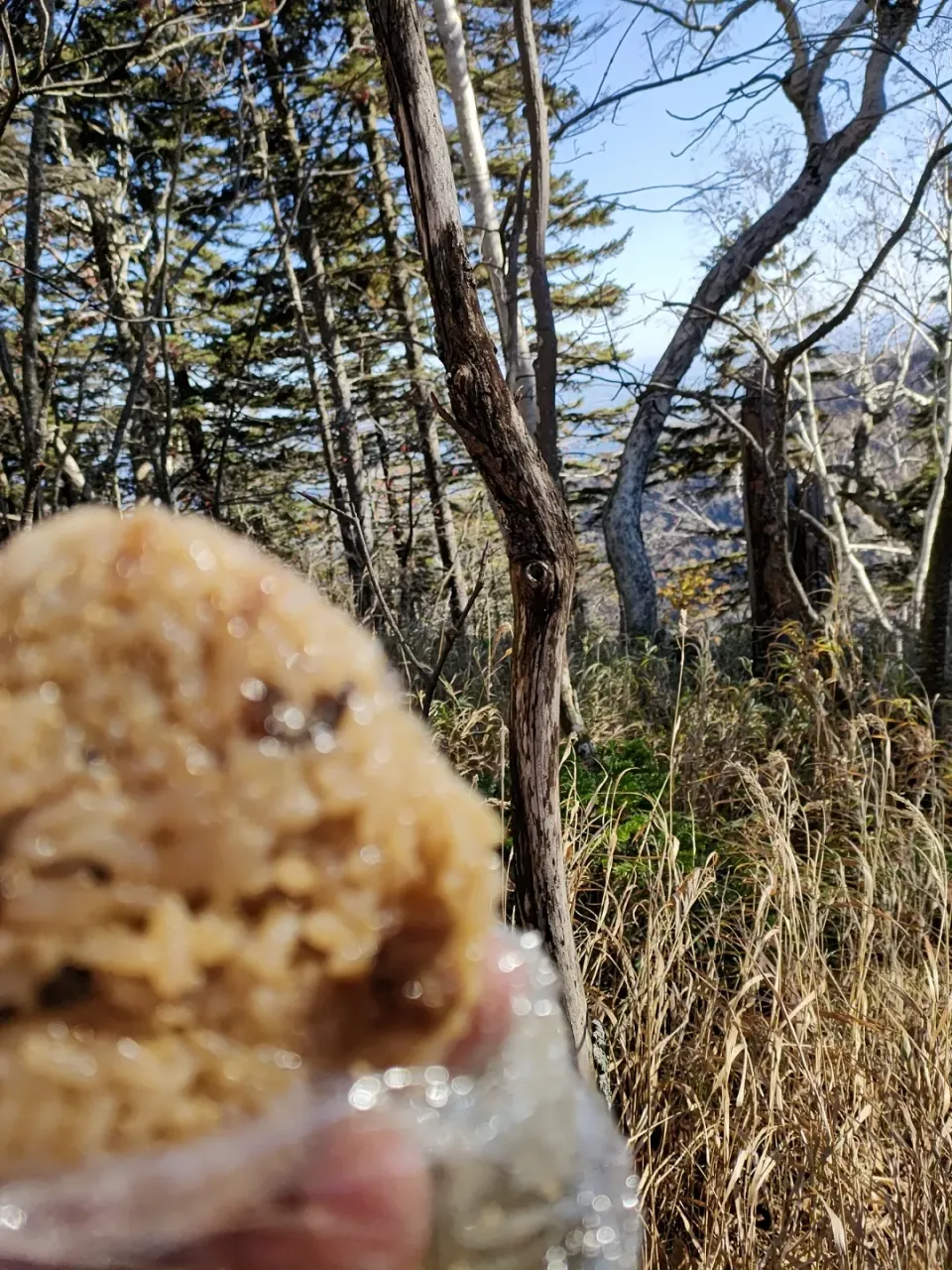 山飯|いのちのねっこ　あいこさん