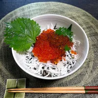 Snapdishの料理写真:いくら醤油漬け丼|きょーこさん