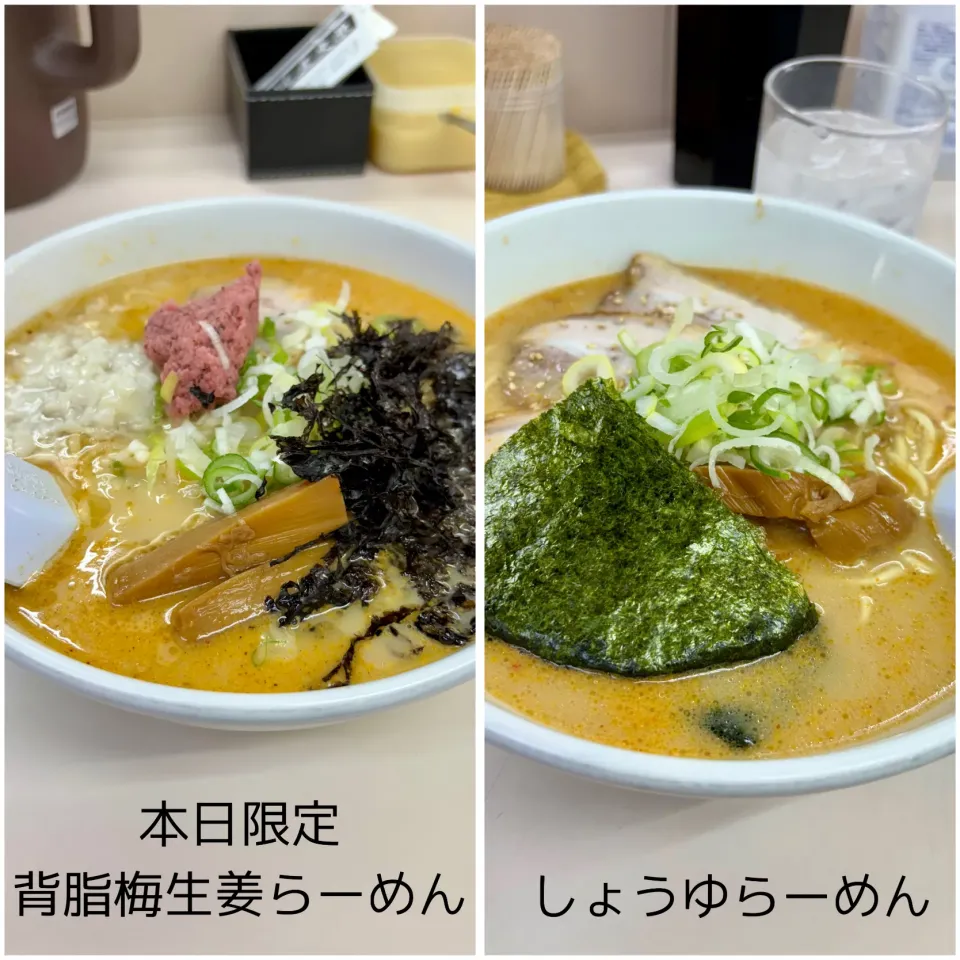 【外食】10/14のお昼ごはん~五丈原のラーメン~|ゆかｕさん