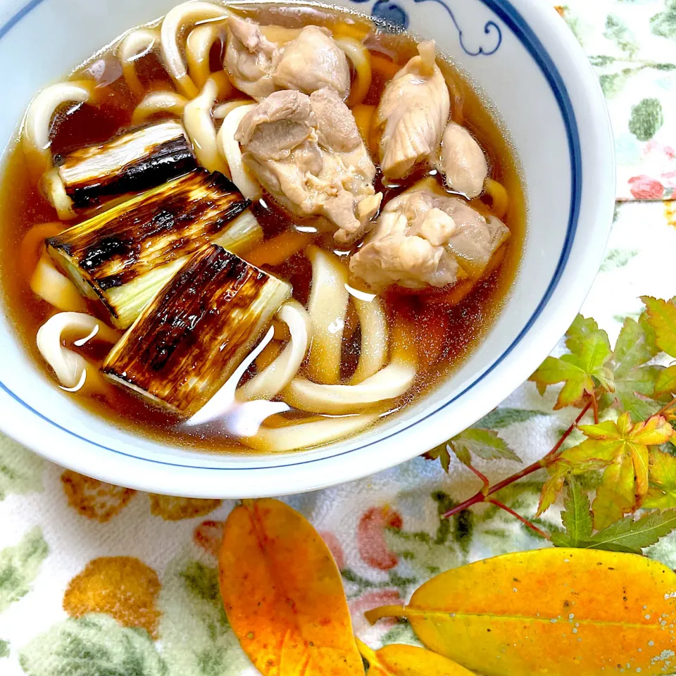 手打ちうどんでかしわうどん|つるひめさん