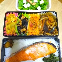 Snapdishの料理写真:🍀2024/1015(火)鮭どーん弁当|ともちんさん