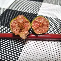 Snapdishの料理写真:フィンガーライム| foodanalystＭＩＫＩさん