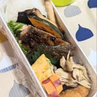 Snapdishの料理写真:自分弁当〜銀鮭の塩麹味醂焼き弁当