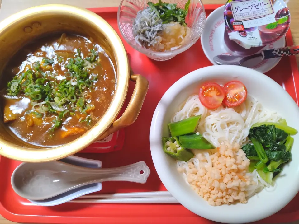 和風カレーつけ麺　じゃこおろし|さゆさん