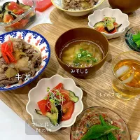 Snapdishの料理写真:今日のメインは牛丼！|dannagayasetaさん