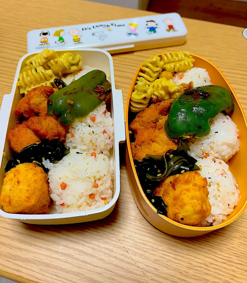 2024.10.16  お弁当|もっさんさん